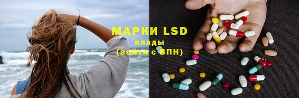 PSILOCYBIN Моршанск