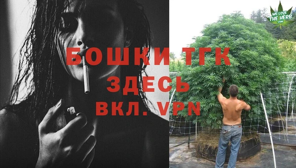 гидра Магас