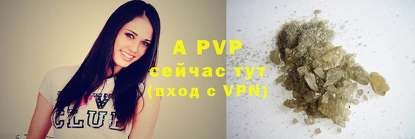 гашик Медногорск