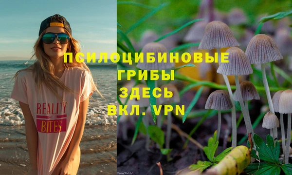 амф Мосальск