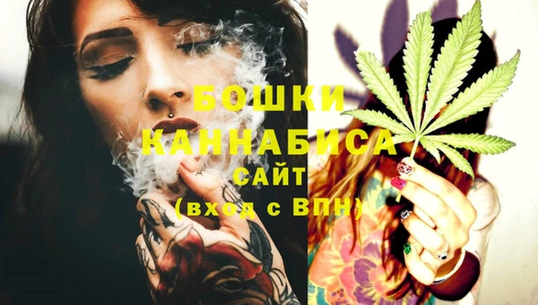 гидра Магас