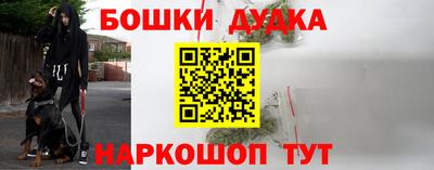 молекула духа Обь