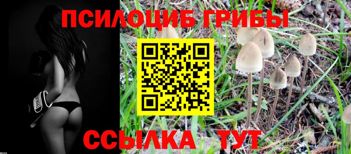 Псилоцибиновые грибы мухоморы  наркотики  Курган 