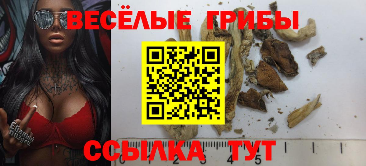 Псилоцибиновые грибы Psilocybine cubensis  Псилоцибиновые грибы MAGIC MUSHROOMS  Курган  Вход с VPN 